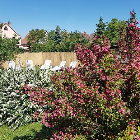 Ferienwohnung Kovacs Vendeghaz Mátraderecske Exterior foto