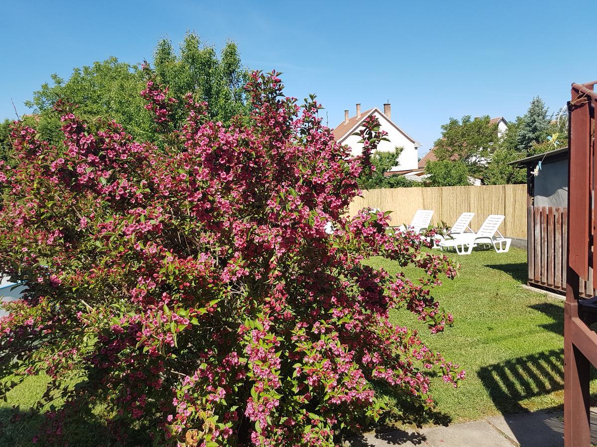 Ferienwohnung Kovacs Vendeghaz Mátraderecske Exterior foto